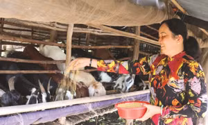 Đổi thay ở ấp Đường Đào của đồng bào dân tộc Khmer