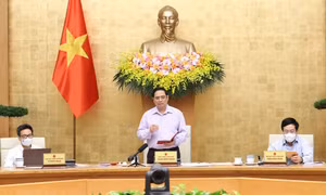 Thủ tướng Chính phủ phê chuẩn Chủ tịch, Phó Chủ tịch Ủy ban nhân dân của 10 tỉnh, thành phố