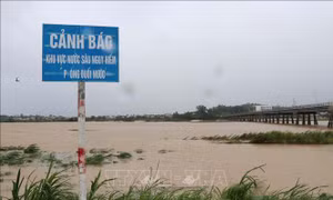 Hàng trăm nhà dân bị ngập nước do mưa lũ ở Quảng Ngãi