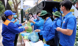 Hỗ trợ tiêu thụ nông sản ứ đọng tại Hải Phòng 
