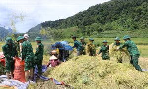 Những việc làm thiết thực của tình quân dân nơi biên giới càng bền chặt. Ảnh: Nguyễn Oanh-TTXVN