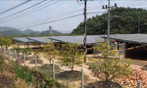 Một công trình điện mặt trời áp mái kết hợp phát triển trang trại nông nghiệp bên dưới trên địa bàn huyện Đạ Tẻh. Ảnh: Nguyễn Dũng – TTXVN