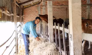 Sóc Trăng: Đồng bào Khmer được chăm lo tốt cả đời sống vật chất và tinh thần