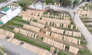 Năm 2021, UBND tỉnh Hà Tĩnh đã có quyết định công nhận và ban hành phương án bảo tồn, phát triển làng nghề truyền thống bánh đa nem thôn Bình xã Thạch Hưng. Ảnh: Hữu Quyết - TTXVN
