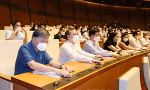 Thông qua Nghị quyết phê duyệt chủ trương đầu tư Chương trình mục tiêu quốc gia xây dựng nông thôn mới giai đoạn 2021-2025