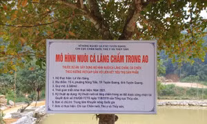Trung tâm Khuyến nông Quốc Gia, Chi cục Chăn nuôi, Thú y và Thủy sản đã phối hợp với UBND xã Yên Phú (huyện Hàm Yên) và UBND phường Nông Tiến (thành phố Tuyên Quang) triển khai thực hiện mô hình nuôi cá Lăng chấm trong ao thuộc Dự án Khuyến nông Trung ươn