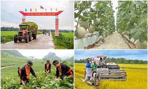 Chương trình mục tiêu quốc gia giảm nghèo bền vững 2021 – 2025