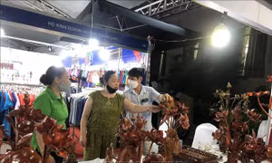Khai mạc chương trình kết nối mạng lưới sản xuất và tiêu dùng sản phẩm làng nghề