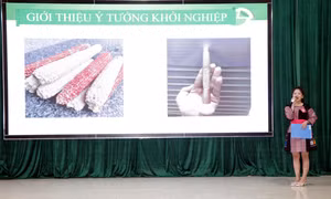 Lan tỏa tinh thần khởi nghiệp trong thanh niên Sơn La