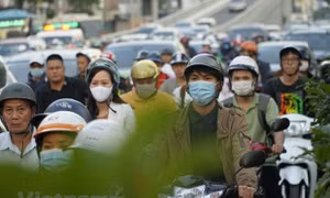 Ban hành nghị định về bảo hiểm bắt buộc trách nhiệm dân sự chủ xe cơ giới