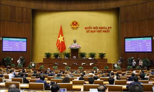 Đại biểu biểu quyết thông qua các nghị quyết về phê chuẩn việc bổ nhiệm Phó Thủ tướng. Ảnh: Doãn Tấn - TTXVN