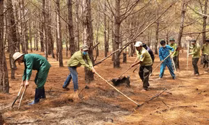 Gia Lai: Nâng cao trách nhiệm cộng đồng trong phòng, chống cháy rừng mùa khô