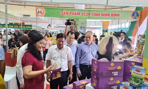 Giới thiệu các sản phẩm OCOP của Ninh Bình ở Hà Nội. Ảnh: bnews.vn