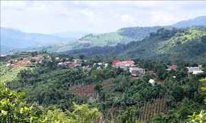 Làng PYầu, xã Lơ Pang, huyện Mang Yang (tỉnh Gia Lai) tựa như một “ốc đảo”, bao quanh là màu xanh bạt ngàn của rừng. Ảnh: Quang Thái- TTXVN