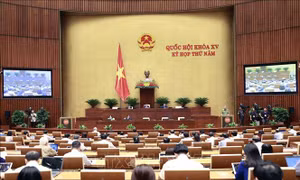 Thông cáo báo chí số 11, Kỳ họp thứ 5, Quốc hội khóa XV