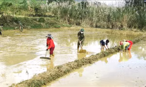 Những người lính mang quân hàm xanh và đồng bào người Rục (nhóm địa phương thuộc dân tộc Chứt) vùng biên xã Thượng Hóa, huyện Minh Hóa, Quảng Bình làm đất, đắp ruộng chuẩn bị xuống giống vụ lúa mới. Ảnh: Võ Dung -TTXVN