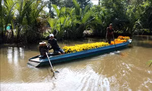 Ghe hoa trên dòng kênh thuộc xã Vĩnh Viễn, huyện Long Vỹ, tỉnh Hậu Giang. Ảnh: Duy Khương 