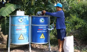 Những thùng chứa, phân loại rác thải thuốc bảo vệ thực vật ở xã Tân Mỹ, huyện Thanh Bình. Ảnh: Nguyễn Văn Trí - TTXVN