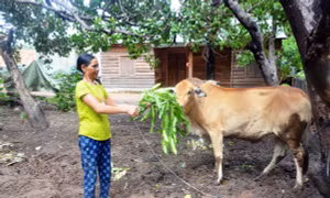 Gia Lai: Giảm tỷ lệ hộ nghèo, nâng cao đời sống đồng bào dân tộc thiểu số