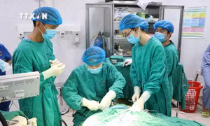 70 năm Chiến thắng Điện Biên Phủ: Mang lại nụ cười cho trẻ mắc dị tật hở môi, vòm miệng