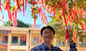 Tạo dựng “cây điều ước” là ý tưởng của thầy Hiệu trưởng Dương Minh Anh khi vừa về nhận công tác tại trường THCS Cù Chính Lan. Ảnh: Khiếu Tư - TTXVN