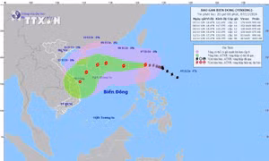 Thủ tướng Chính phủ yêu cầu chủ động ứng phó bão YINXING