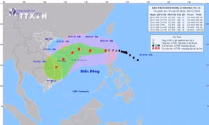 Ứng phó bão YINXING: Quảng Bình huy động lực lượng, phương tiện kịp thời xử lý các tình huống 