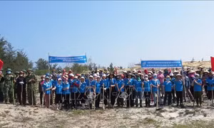 Hơn 700 hội viên phụ nữ xã Quang Phú, thành phố Đồng Hới và các lực lượng biên phòng, công an, cựu chiến binh, thanh niên... cùng chung tay trồng cây xanh, bảo vệ môi trường. Ảnh: Võ Dung -TTXVN