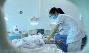 Ngày 28/4: Cả nước có 14.704 ca sốt xuất huyết, Bộ Y tế dự báo số mắc có xu hướng gia tăng