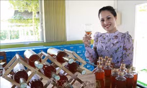 Khách du lịch thưởng thức vang nho sản xuất tại trang trại nho Ba Mọi, xã Phước Thuận, huyện Ninh Phước. Ảnh: Nguyễn Thành - TTXVN