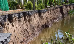 Vụ sạt lở ngày 14/6/2020 dài khoảng 50m trên tuyến đường Nha Mân - Phú Long, thuộc xã Tân Nhuận Đông, huyện Châu Thành, Đồng Tháp. Ảnh: Chương Đài - TTXVN