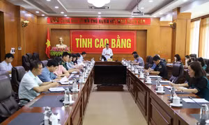 Đồng chí Hoàng Xuân Ánh, Phó Bí thư Tỉnh ủy, Chủ tịch UBND tỉnh, Trưởng Ban Chỉ đạo phòng, chống dịch COVID-19 tỉnh phát biểu tại cuộc họp. Ảnh: soytecaobang.gov.vn