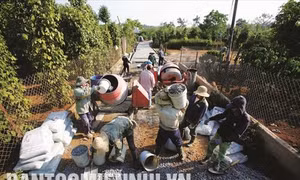 Thực hiện Chương trình mục tiêu Quốc gia xây dựng nông thôn mới, người dân xã biên giới Thuận An, huyện Đắk Mil đã góp tiền, công sức để bê tông hóa nhiều tuyến đường vào thôn, bon tạo điều kiện thuận lợi cho phát triển kinh tế, văn hóa thôn, bon. Ảnh: DT