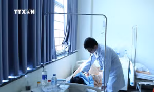 Vụ nhóm học sinh đau bụng nhập viện tại Gia Lai: Tình hình sức khoẻ đã ổn định và xuất viện về nhà