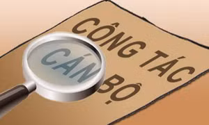 Định kỳ chuyển đổi 8 vị trí công tác trong lĩnh vực tổ chức cán bộ ở địa phương