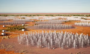 Những anten hình cây thông Giáng sinh đang được xây dựng ở Tây Australia ngày 5/12/2022. Ảnh: AFP/TTXVN