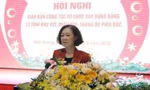 Tháo gỡ khó khăn, tăng cường công tác tổ chức xây dựng Đảng 13 tỉnh miền núi, trung du phía Bắc