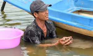 Nhân rộng mô hình nuôi sò huyết trong vuông tôm