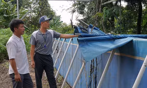 Bể bơi tại trường Tiểu học Anh Hùng Núp, xã Ia Hrú, huyện Chư Pưh (Gia Lai) hư hỏng, không thể sử dụng. Ảnh: Hoài Nam - TTXVN