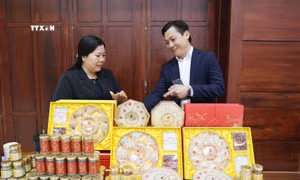 Đắk Lắk gỡ khó để phát triển bền vững ngành hàng yến sào