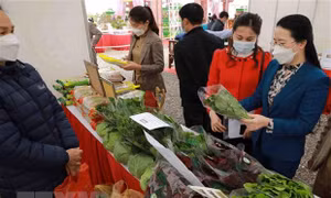 Khai mạc hội chợ giống vật tư thiết bị nông nghiệp, nông sản an toàn, OCOP năm 2022