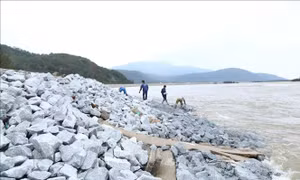 Tạo cơ sở pháp lý vững chắc để xây dựng xã hội an toàn trước thiên tai
