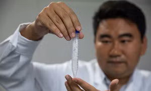 Nhà khoa học Cai Tao, một trong số các tác giả của nghiên cứu, với mẫu tinh bột được tạo ra. Ảnh: china.org.cn
