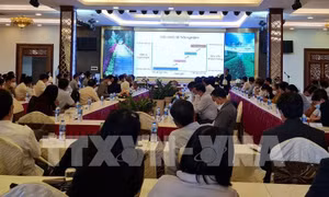 Gia Lai tận dụng tiềm năng tạo bước ngoặt về sản phẩm nông nghiệp