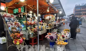 Nét độc đáo những ngày lễ tình nhân ở Hàn Quốc