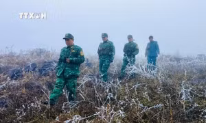 Bộ đội Biên phòng Cao Bằng - Cầu nối giúp bà con vùng biên xóa đói nghèo