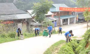 Đoàn viên thanh niên Cụm Thi đua số 2 (Huyện đoàn Thuận Châu, Sơn La) thu gom rác thải nhựa tại xã Chiềng Bôm. Ảnh: Quang Quyết-TTXVN 