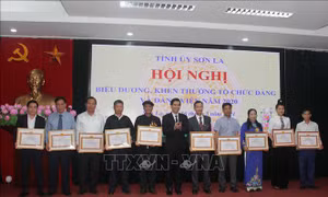 Sơn La: Biểu dương, khen thưởng các tổ chức đảng và đảng viên tiêu biểu