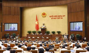 Thông cáo báo chí số 7, Kỳ họp thứ 3, Quốc hội khóa XV