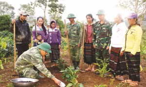 Bà con Bru - Vân Kiều huyện Đakrông học kỹ thuật trồng cây cà phê. Nguồn: baodantoc.vn